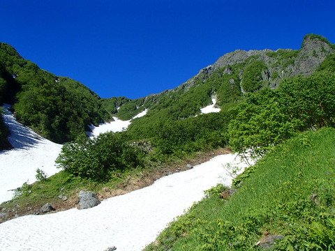 P7150441