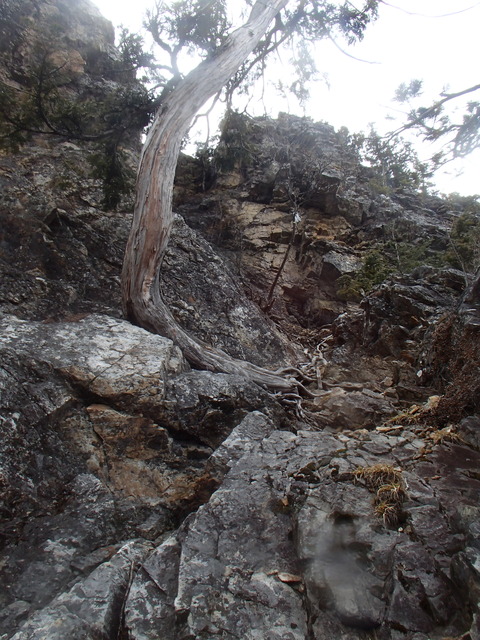 P4051474