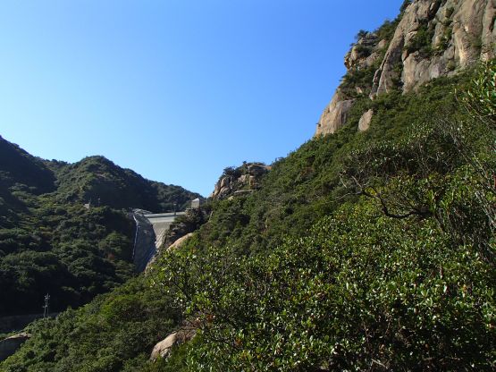 e2426459.jpg