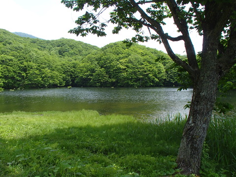 P6050938