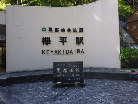IMGP5556