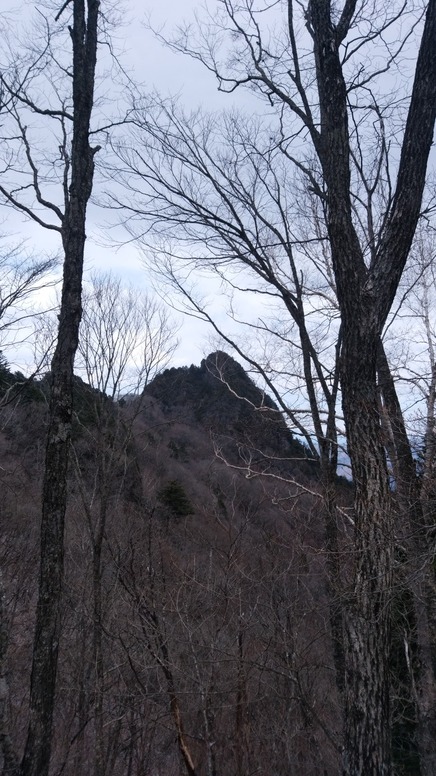 IMG_20200405_121404