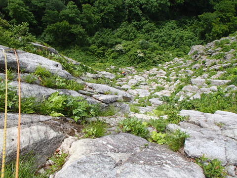P6300426
