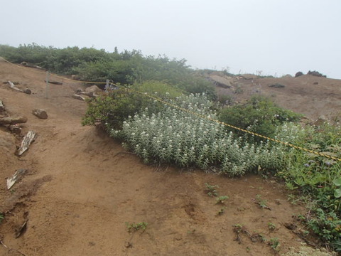 P8060193