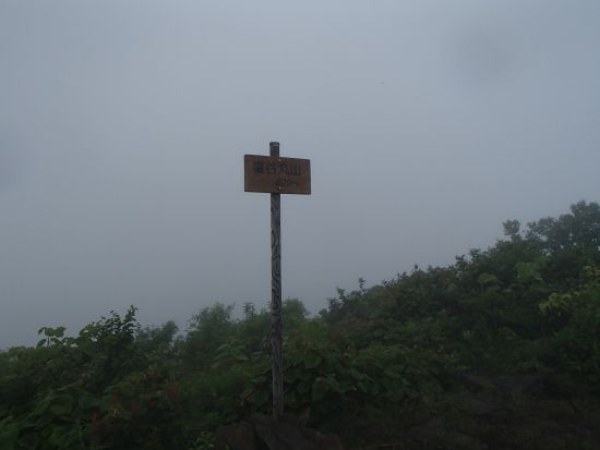 f892838f.jpg