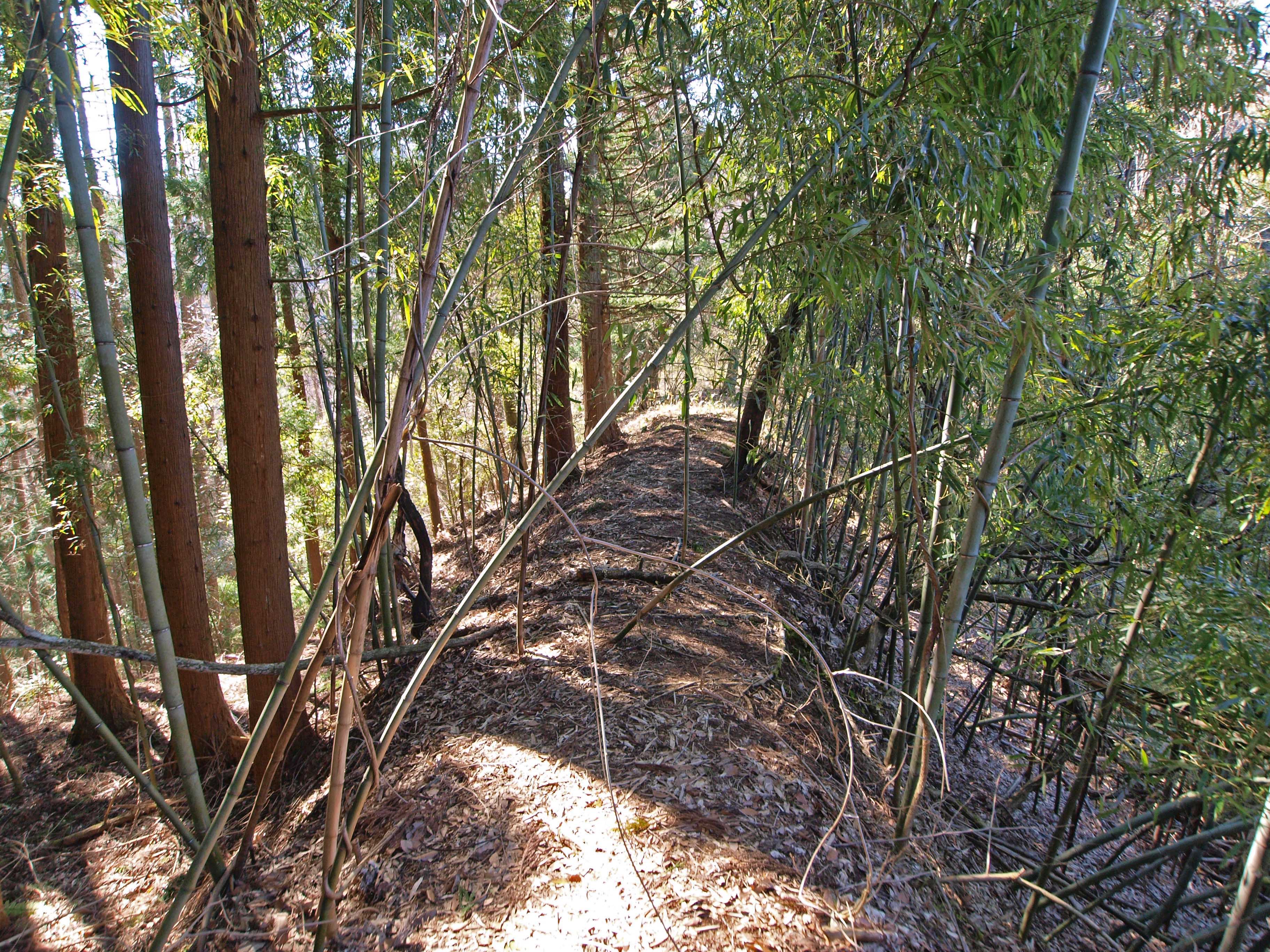 長野県の廃村集落探訪 旧美麻村 現大町市 高地地区 女生山 北信州探検日記