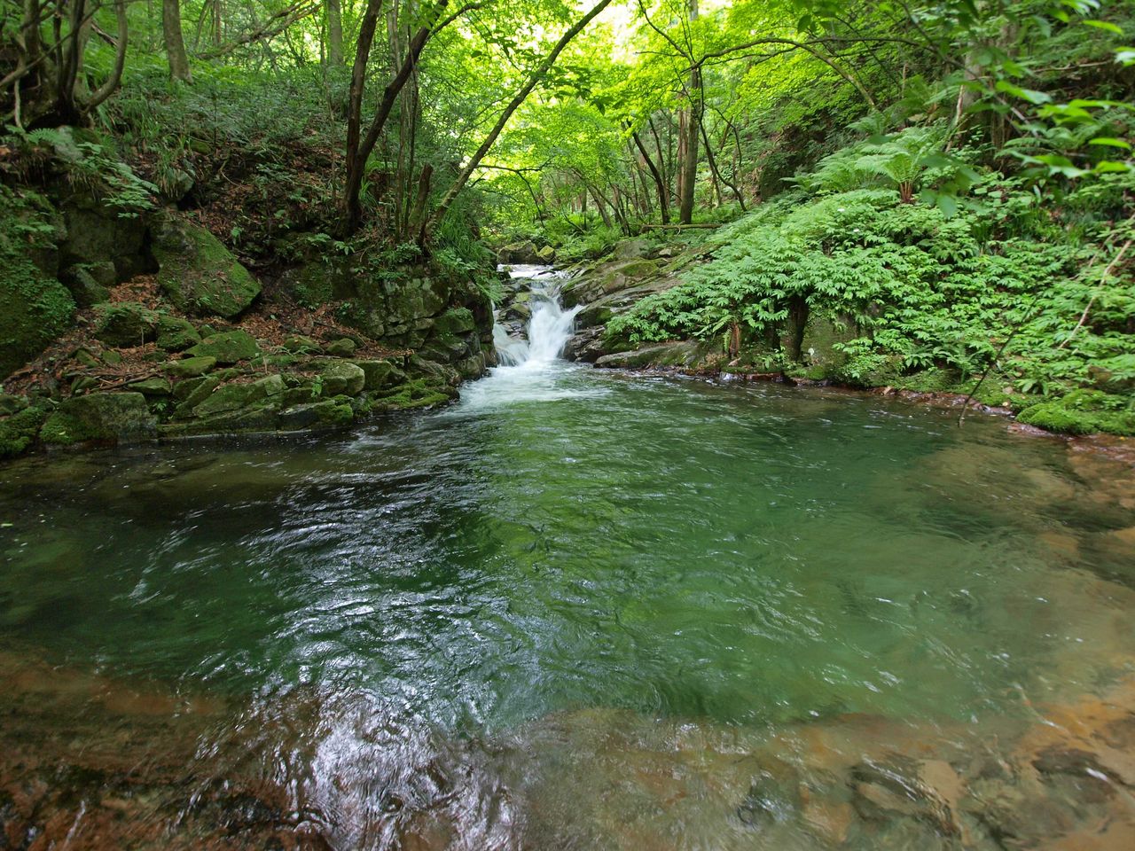 幻の大滝に挑む 長野県須坂市 北の俣大滝 北信州探検日記 幻の大滝に挑む 長野県須坂市 北の俣大滝 北信州探検日記