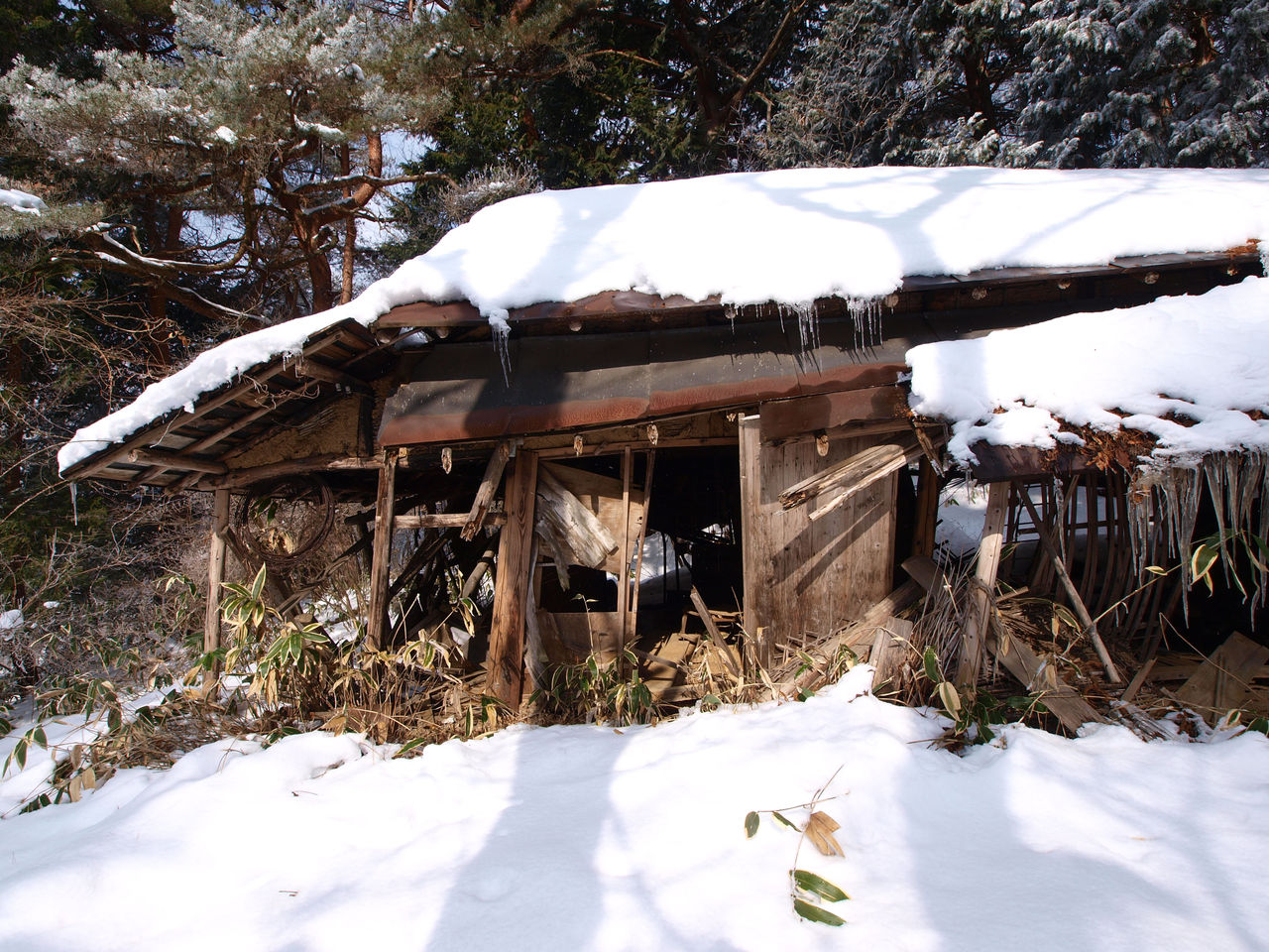 雪の降った日の廃屋 Life with Snow Yukioroshi雪おろし - YouTube