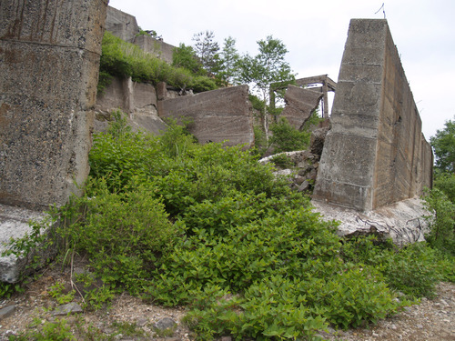 ogusi17