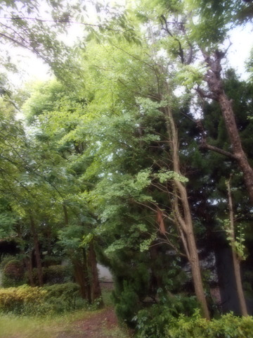 DSCN3674