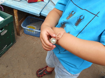 DSCN0166