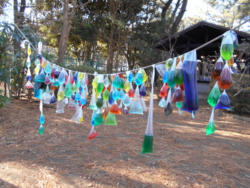 DSCN0579