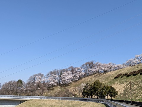 PXL_20230410_012203904