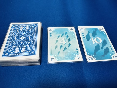 IMG20250228203919