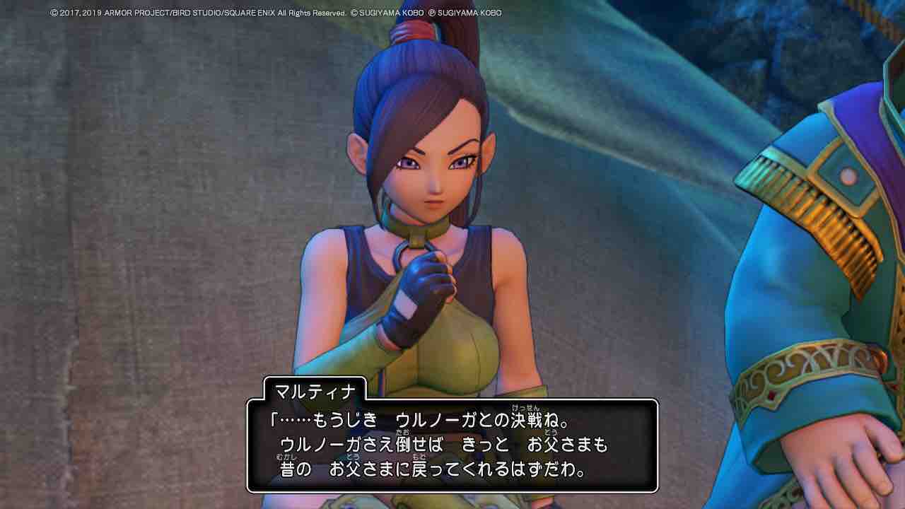 ドラゴンクエストxi 過ぎ去りし時を求めて S Switch ウリウ ゲーム記録 ドラゴンクエストxi 過ぎ去りし時を求めて S Switch ウリウ ゲーム記録