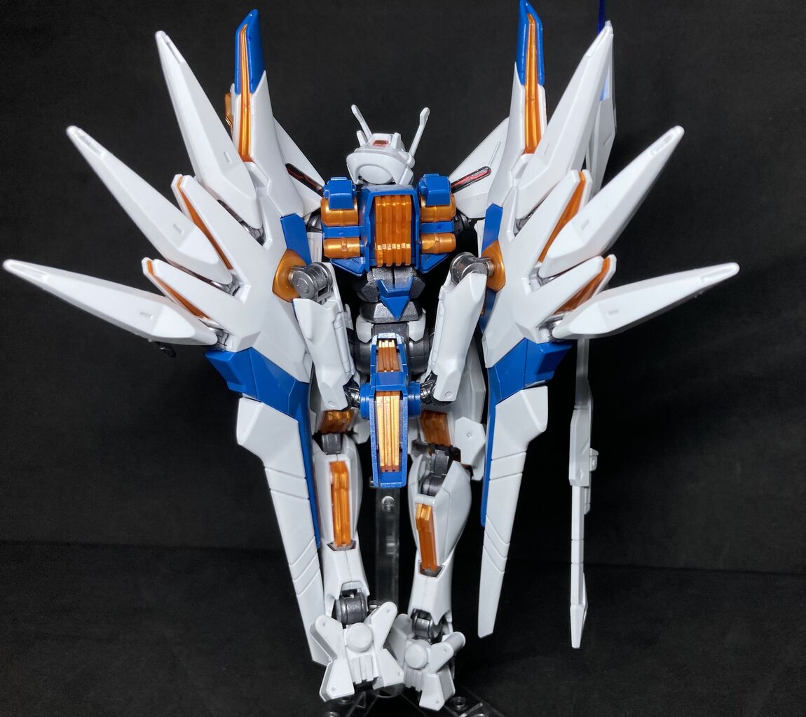 プレバン限定】HGガンダムナイオン レビュー 銀竜ブログ : 銀竜うんち
