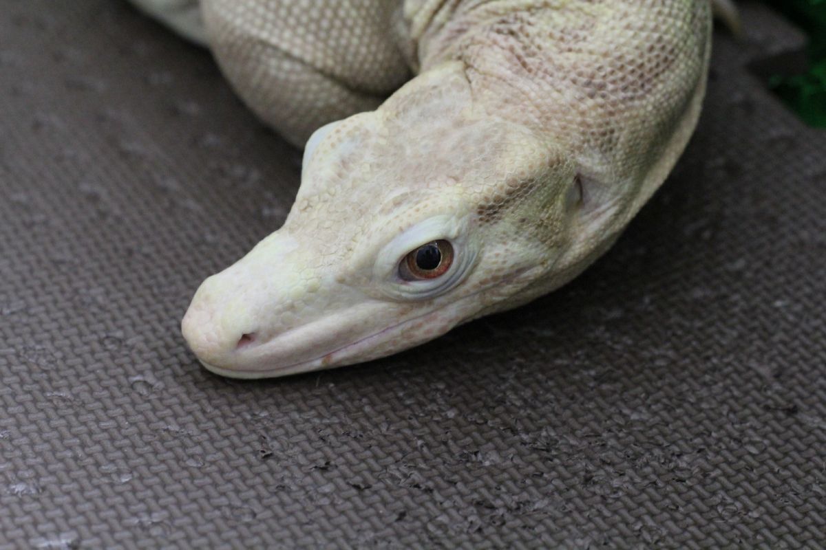 14年10月30日 とげ男の毎日