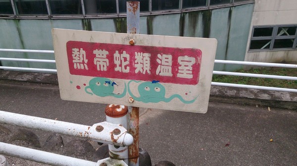 ジャパンスネークセンター2