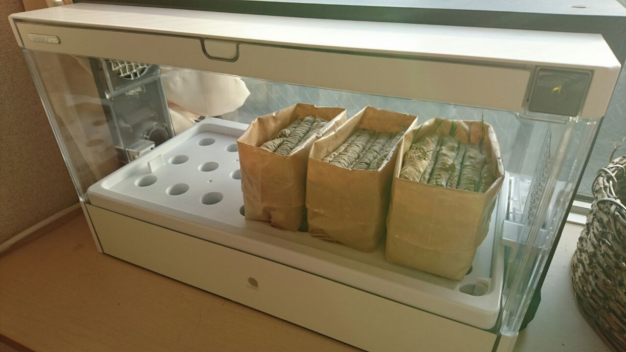 猫草が食べたくて 冬 うるるとさららの猫ライフ