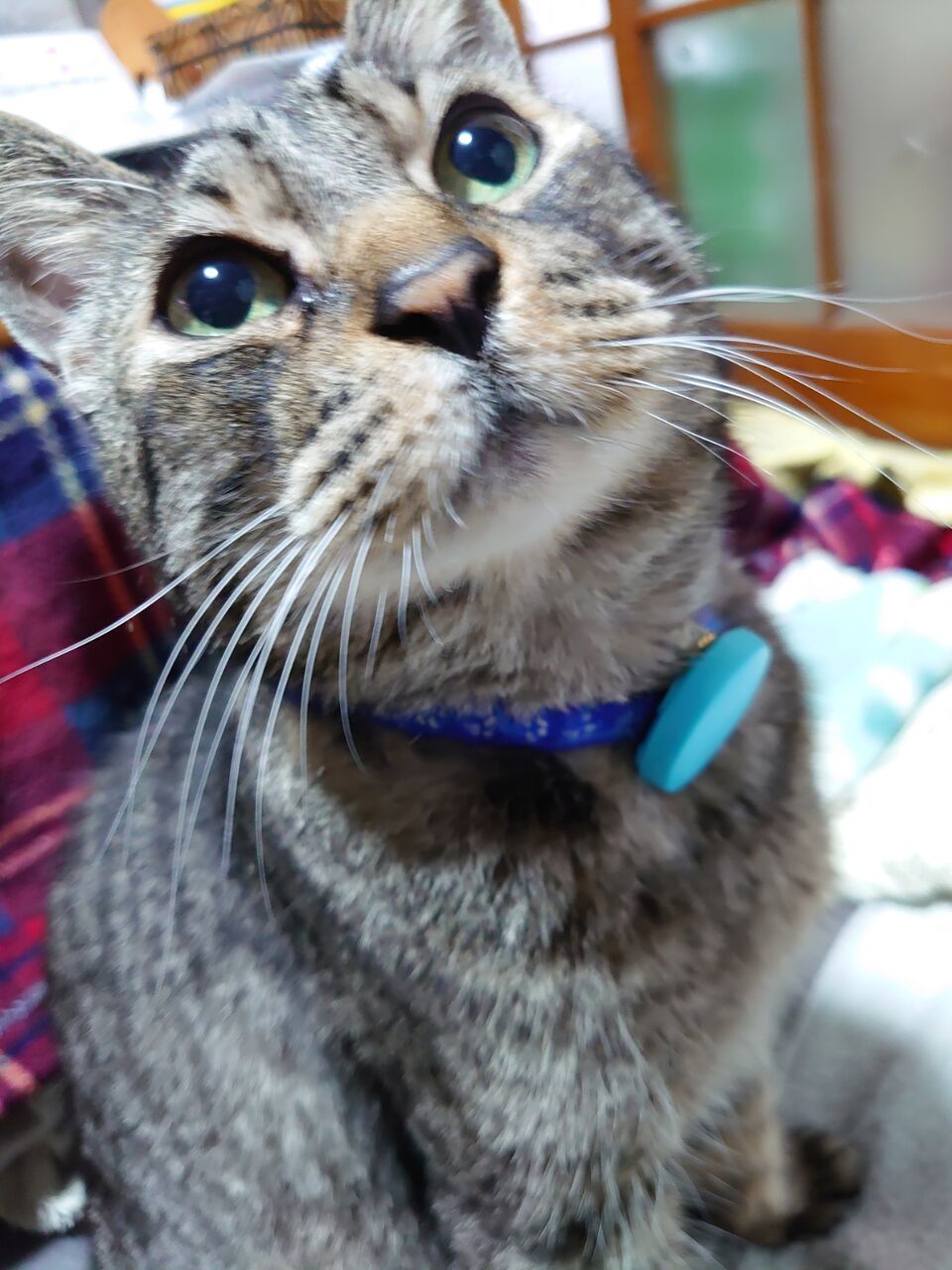 トライジェッター<Dキャリバー> DA-71 トライヴァース トライジェッター ＜Dキャリバー