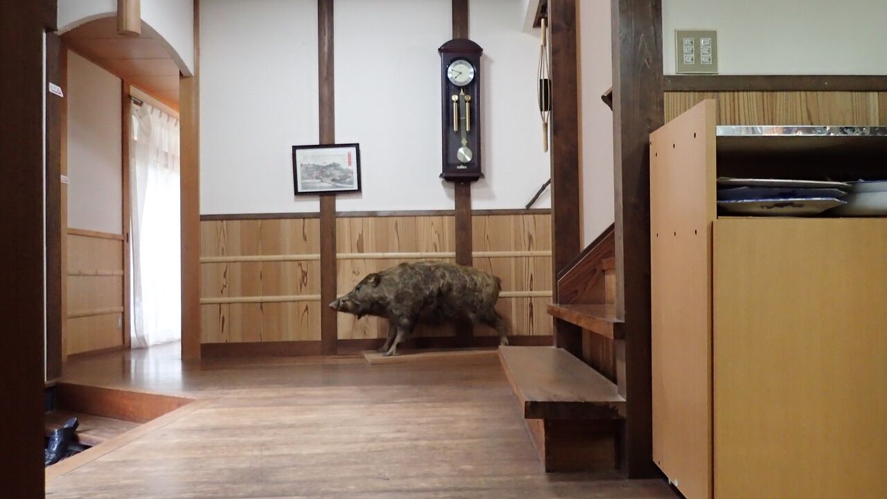 当時のメディア報道・掲載写真