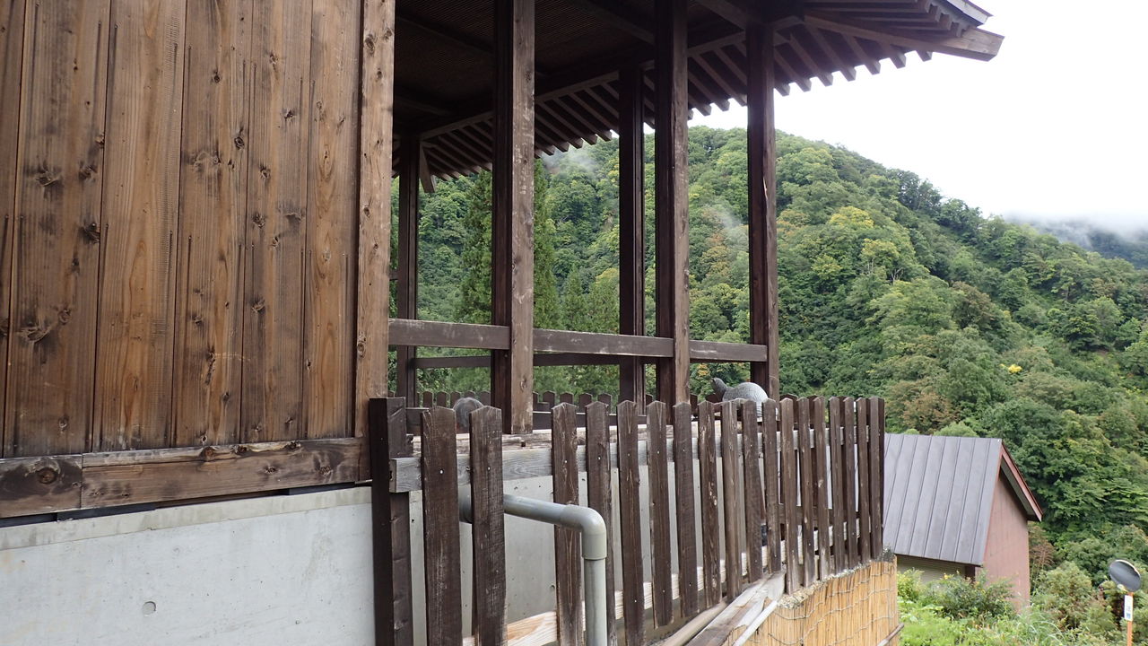 小谷温泉 山田旅館 有形文化財の宿で2種類の完全掛け流し温泉を堪能 その2 温泉大好きめぐり旅 2 小谷温泉 山田旅館 有形文化財の宿で2種類の完全掛け流し温泉を堪能 その2 温泉大好きめぐり旅 2
