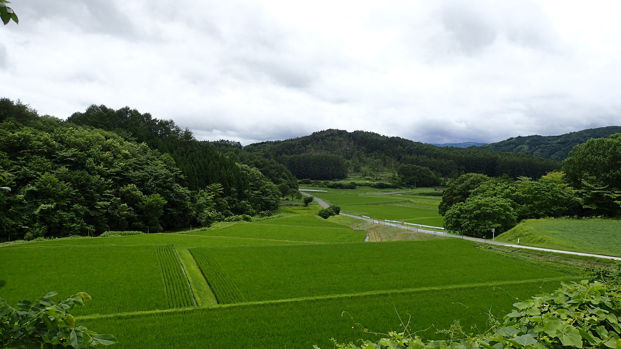温泉大好きめぐり旅♪♪3 : 日本の原風景~心に残った遠野の景色いろいろ(^.^)