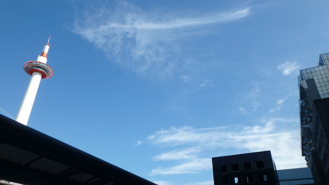 東寺五重塔初層特別公開 宝物館秋季特別公開 温泉大好きめぐり旅 2 東寺五重塔初層特別公開 宝物館秋季特別公開 温泉大好きめぐり旅 2