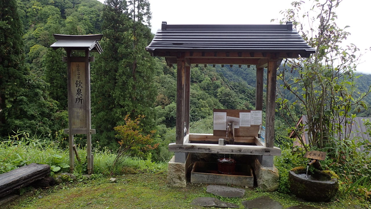 小谷温泉 山田旅館 有形文化財の宿で2種類の完全掛け流し温泉を堪能 その2 温泉大好きめぐり旅 2 小谷温泉 山田旅館 有形文化財の宿で2種類の完全掛け流し温泉を堪能 その2 温泉大好きめぐり旅 2