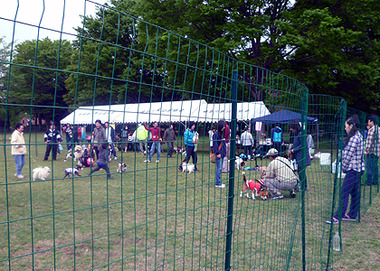 2011may2 010