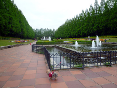 2011may2 007