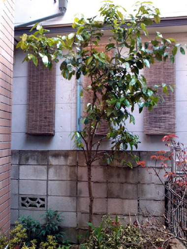 SN3R00080001