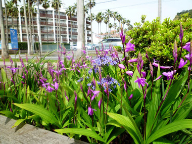 2011may 072