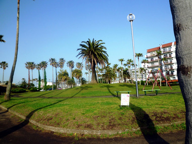 2011may 061