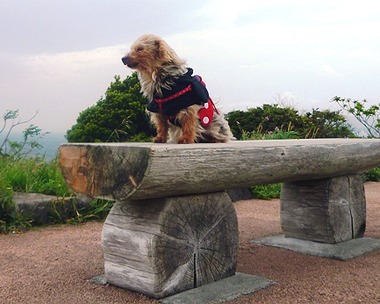 2011may 027