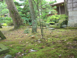 ある庭2