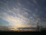 夕方の雲