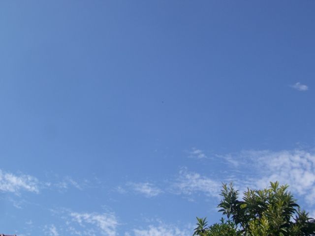 CIMG8955