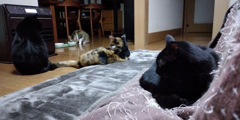 IMG_20230119_185340