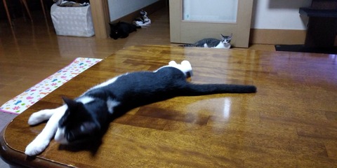 IMG_20200823_223313