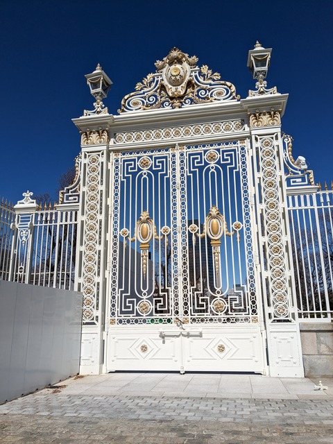 PXL_20240310_030222579
