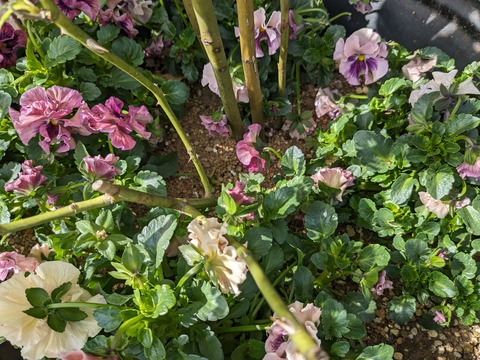 PXL_20240319_010114755