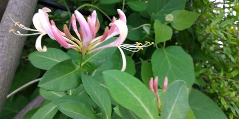 IMG_20220515_160053