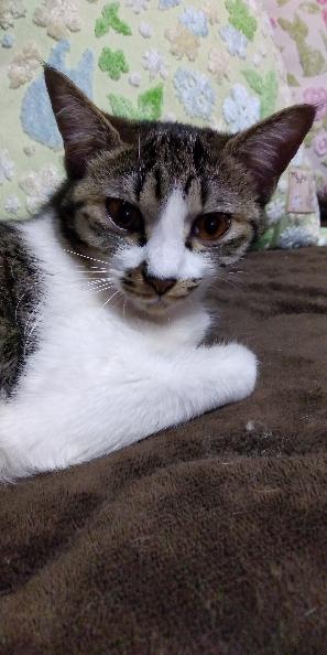 17128