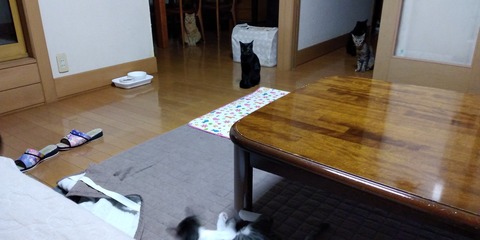 IMG_20200823_220305