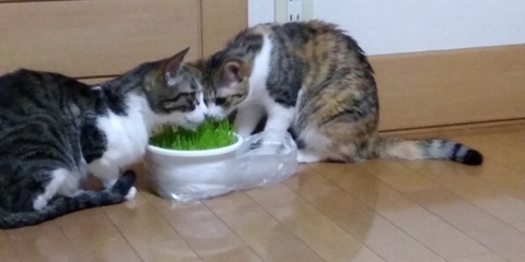 IMG_20210423_204920