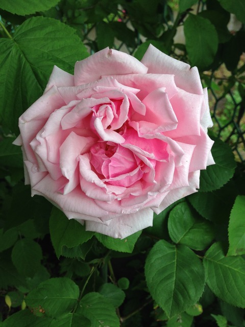 039