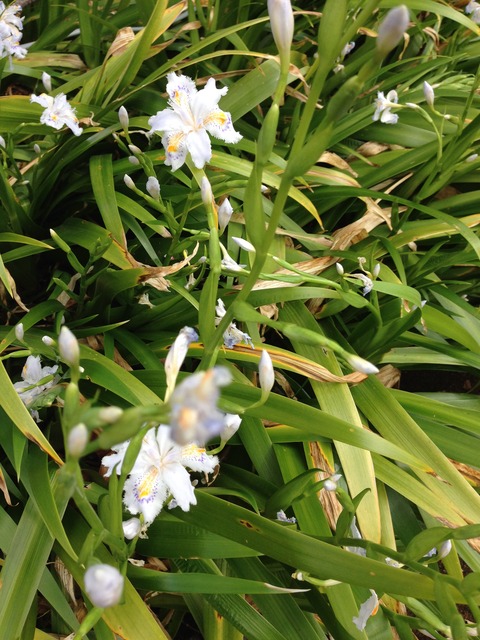 034