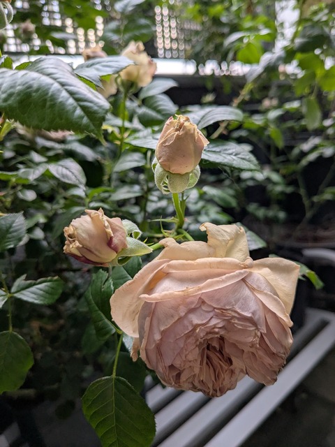 PXL_20260502_214053791