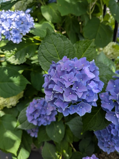 PXL_20260619_003949229